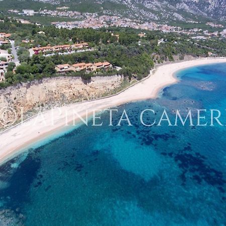 Casa Vacanza Gelsomino Cala Gonone Exteriér fotografie