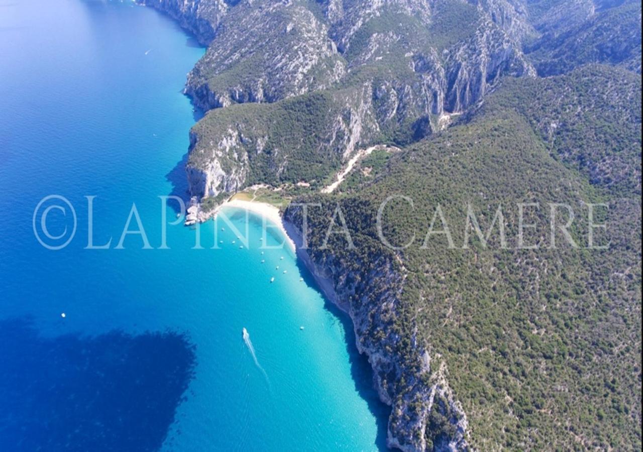 Casa Vacanza Gelsomino Cala Gonone Exteriér fotografie